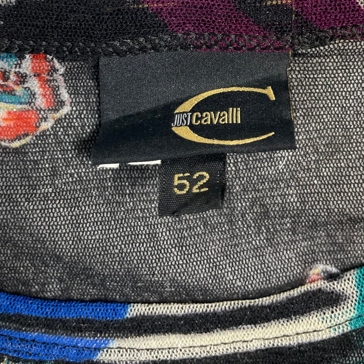 Vintage Just Cavalli Mesh Tiger Graphic Top | Best Fit UK 8-10